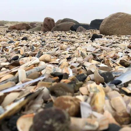 Holiday home Luxury Pool Retreat In - By Traum Blavand